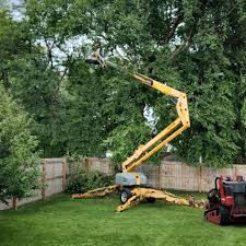 Best Aeration Services  in Palmyra, NJ