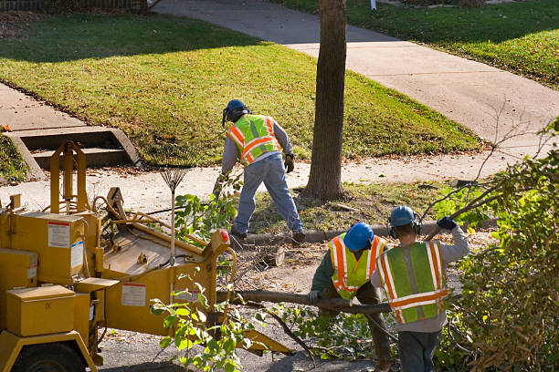 Best Landscape Design and Installation  in Palmyra, NJ